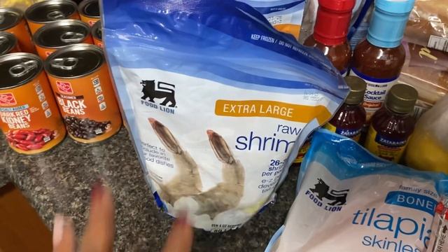 Friendsgiving Grocery Haul. || Shopped Food Lion & Harris Teeter || FREE Turkey Anyone? смотреть онлайн