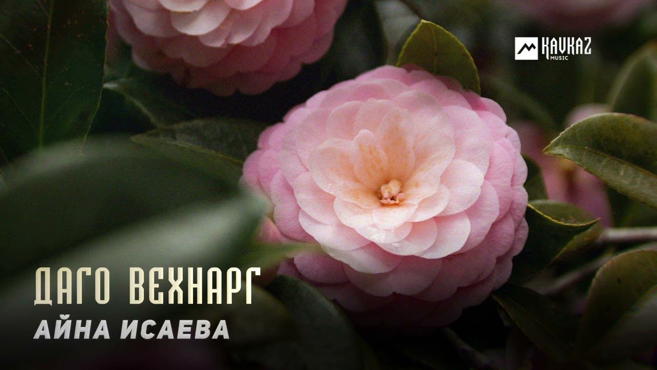 Айна Исаева - Даго вехнарг | KAVKAZ MUSIC CHECHNYA смотреть онлайн