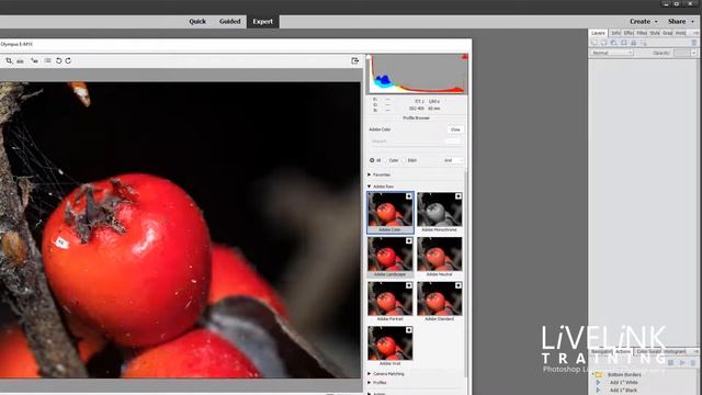 Introduction To Profiles in Camera RAW - Photoshop Elements смотреть онлайн