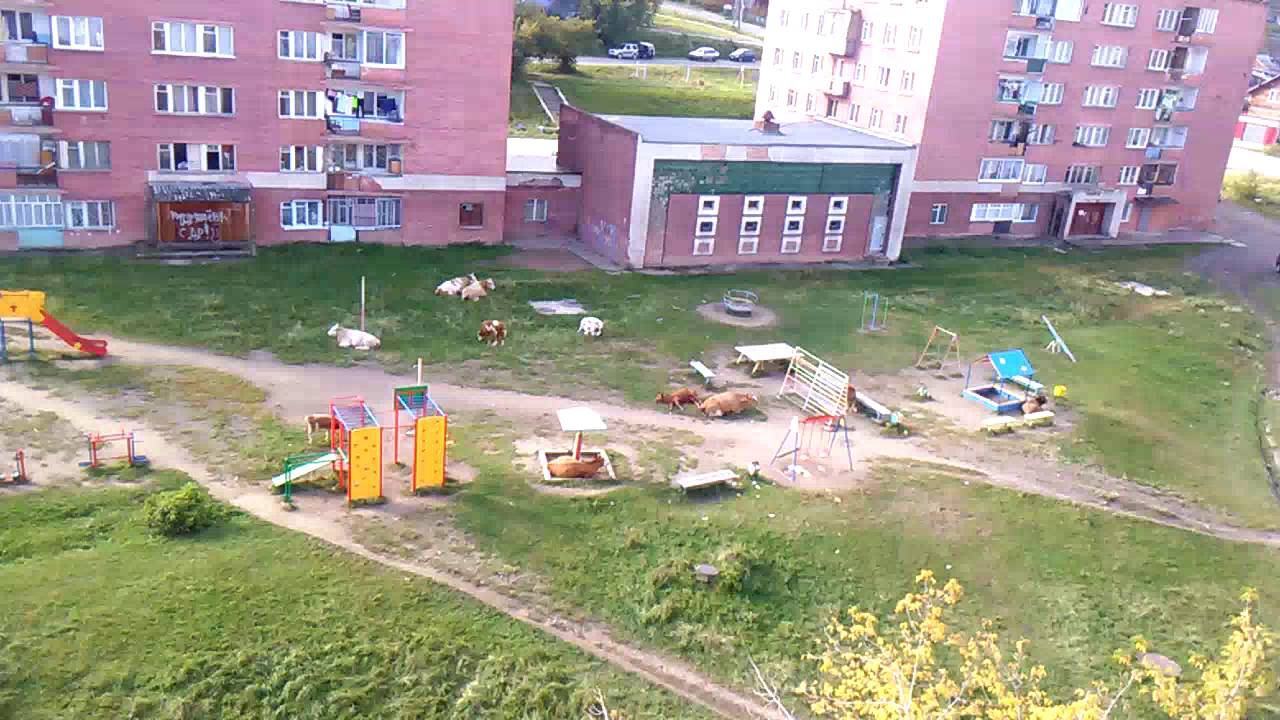 утро в Дивногорске смотреть онлайн