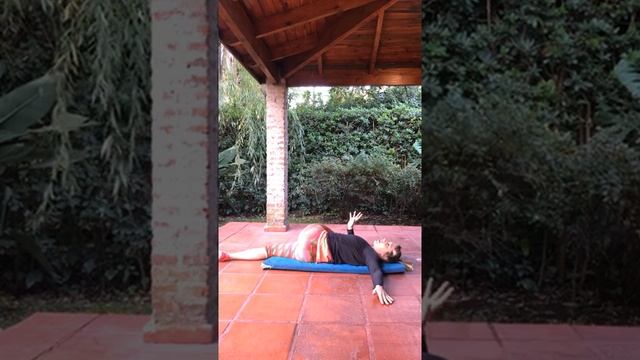 Stretching ( Elongacion ) en vivo por Instagram 16/6/2020 смотреть онлайн