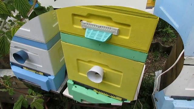 для чего делать верхние летки в корпусах и магазинах улья, и можно ли делать только нижний леток смотреть онлайн