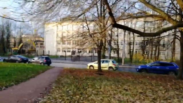 Дистанционное школьное образование в Петербурге/ школа N 484 смотреть онлайн