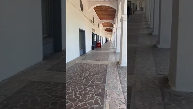 I LOVE RUSSIA 2022. г.Кострома в международном проекте. Достопримечательности на немецком языке. смотреть онлайн