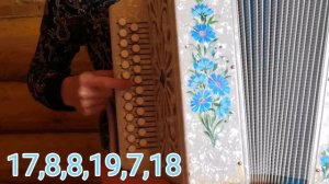 Ой занялась рябина зорькой алой-разбор на гармони