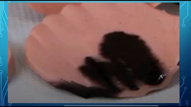 Как проверить качество колбасы в домашних условиях? смотреть онлайн