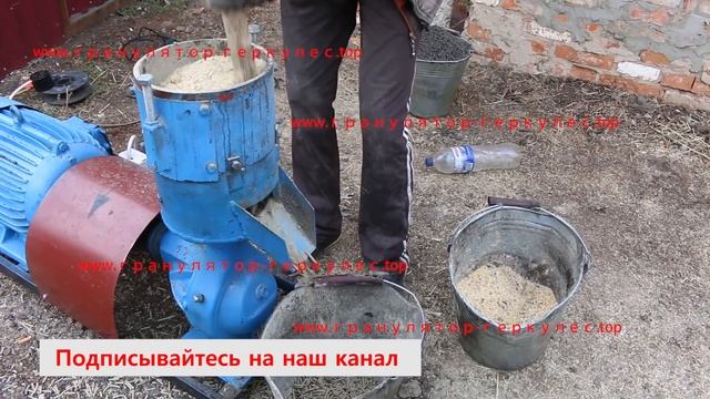 Гранулятор комбикорма гранула 4мм первый запуск (грануляторы в Украине) смотреть онлайн