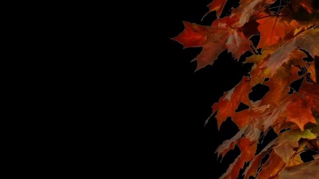 лист. клён. хромакей футаж Михаил Киселёв смотреть онлайн