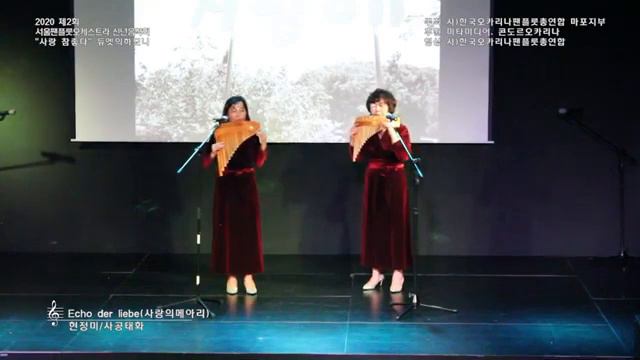 20 11서울팬플룻오케스트라신년음악회 Echo der liebe 현정미 사공태화 YouTube смотреть онлайн