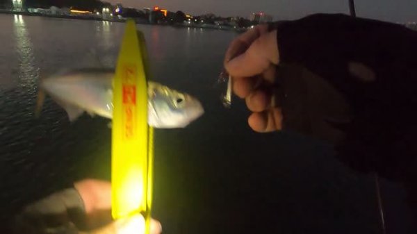 Анапа Рыбалка утренние прогулки