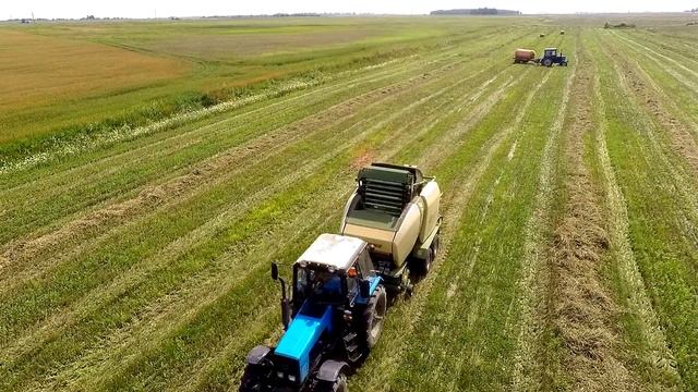 Буда-Кошелевский район 27.07.2018 Губичи смотреть онлайн