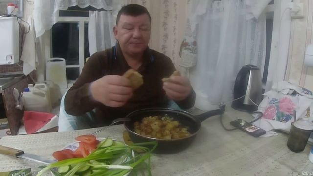 Один в лесу/Самостоятельные кошка с собакой живут одни/топлю три печки,ищу хариуса на таежных ручья смотреть онлайн