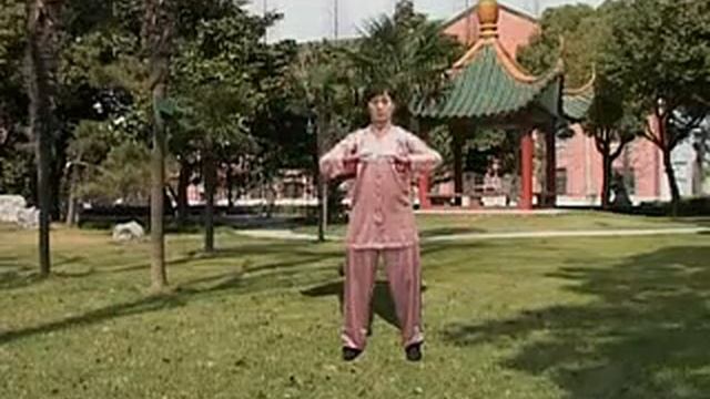 Игры 5 зверей 五禽戏 смотреть онлайн