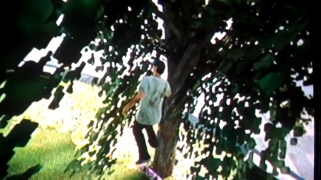 Skate 3 Weird Tree Glitch смотреть онлайн