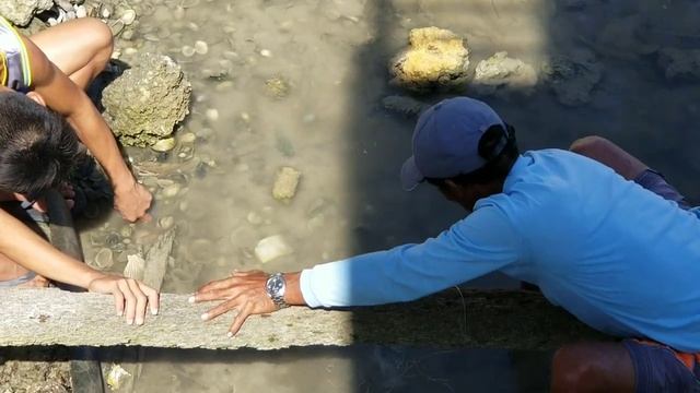 Catching sandworms....awesome!! смотреть онлайн