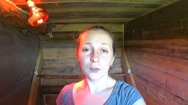 Неужели привезли окна! Сделали курятник, все высадили в грунт. смотреть онлайн