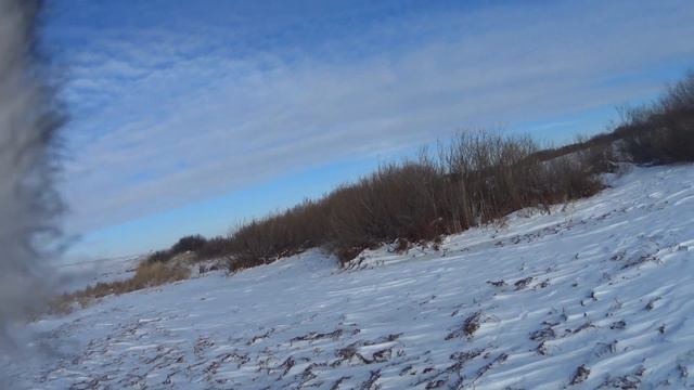 Охота на зайца 2018-2019 №44 смотреть онлайн