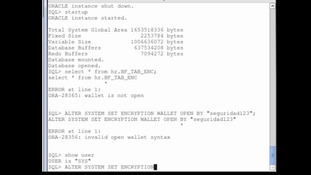 Oracle Advanced Security смотреть онлайн