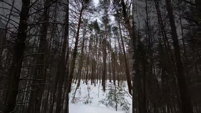 Можайск и Калуга смотреть онлайн