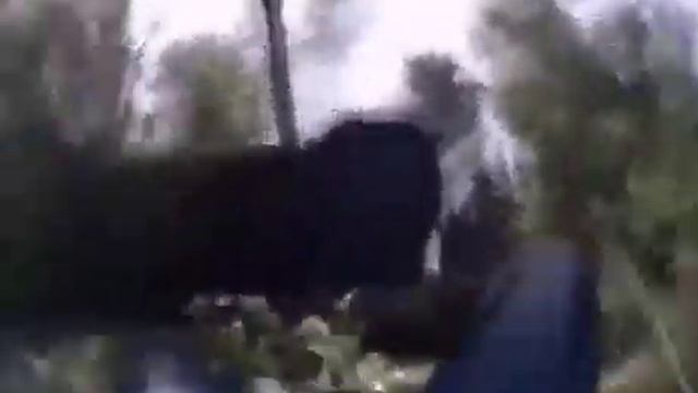 Грибники, данная осень не подходит для сбора грибов !!!!! смотреть онлайн