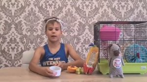 Как уговорить родителей купить хомяка!