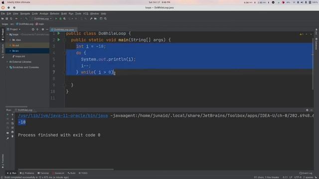 Java Programming: L14 - do - while loop (in Rohingya) смотреть онлайн
