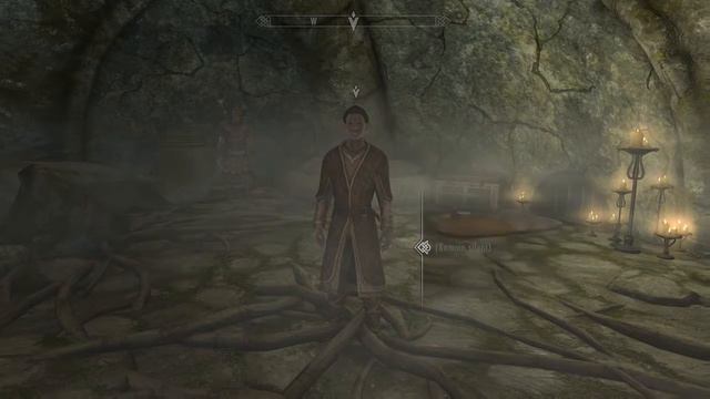 SamboBaggins91 playing The Elder Scrolls V: Skyrim Special Edition смотреть онлайн