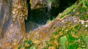 Лондонский симфонический оркестр.