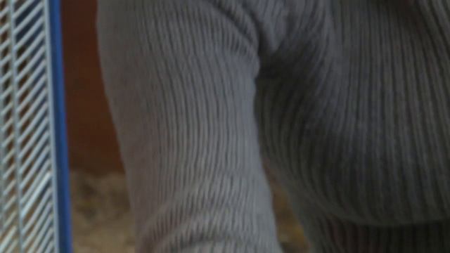 #Следуйзанами. Эпизод 15: Спасение цыпленка и поцелуй с собаками смотреть онлайн