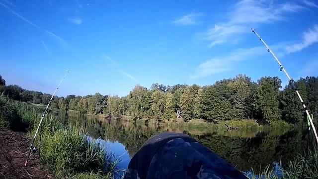 рыбалка, поклевки! а в рыбе ли дело или руки из ......? смотреть онлайн