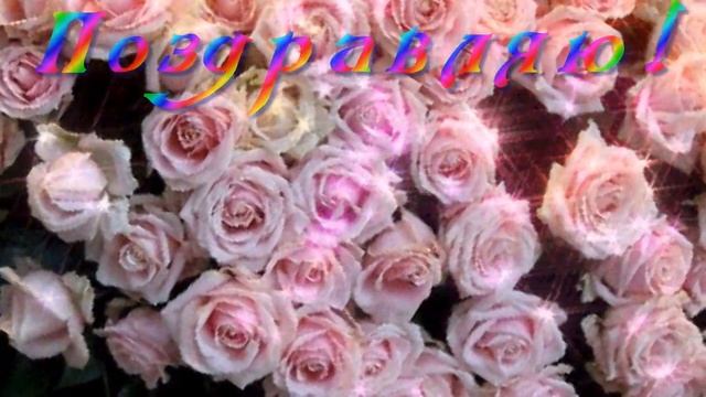 БЕСПЛАТНО. ФУТАЖ. ПОЗДРАВЛЯЮ!!! РОЗОВЫЕ РОЗЫ. смотреть онлайн