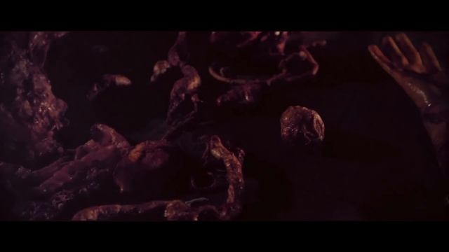 Danheim & Heldom - Blodfest (Official Music Video)