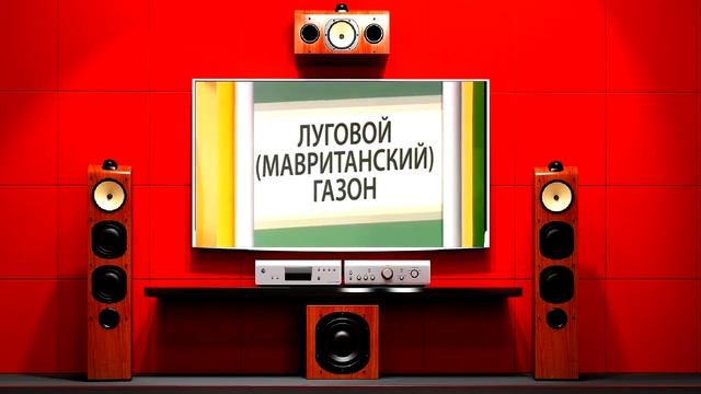 Газон. Разновидости смотреть онлайн