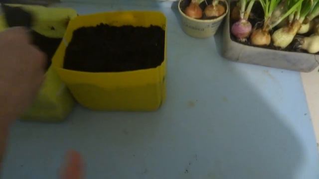 Козы на улице// Садим рассаду смотреть онлайн