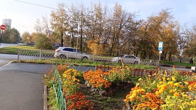 7.10.2023 Красота у детского центра смотреть онлайн