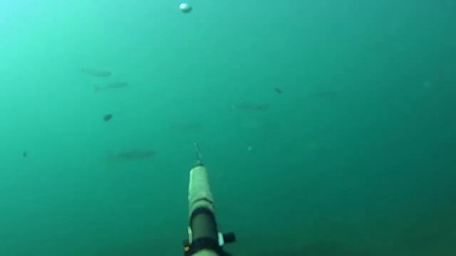 Охота на лобана Июнь 2018 Часть №3 смотреть онлайн