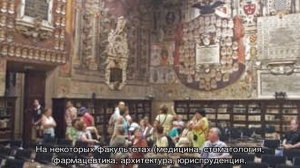 Образование в Италии для русских