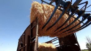 МТЗ 80 стогомет