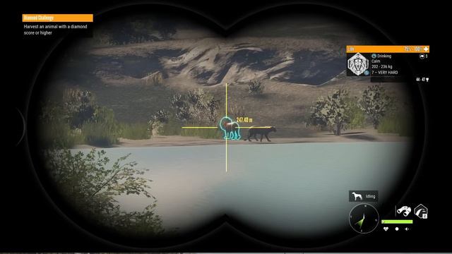 Back to Back Rares on Vurhonga Savanna Multiplayer! смотреть онлайн
