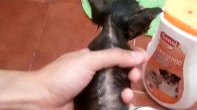 Женщина увидела странный пакет Заглянув в него, слезы сами покатились из глаз! смотреть онлайн
