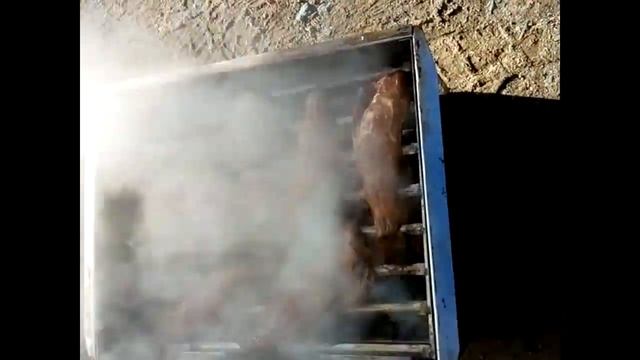 Рыбалка в Приморье. Готовлю терпуга!!! смотреть онлайн