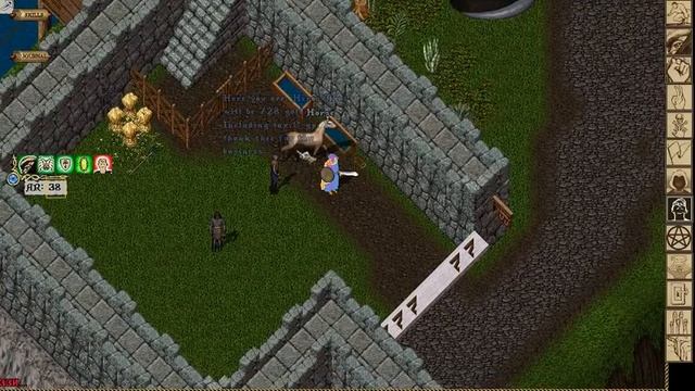 Hero vs AkyPoK | Old Oskom UO Shard смотреть онлайн