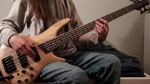 Pond - Paint Me Silver - Bass Cover (Tabs and Isolated Bass in Description) смотреть онлайн