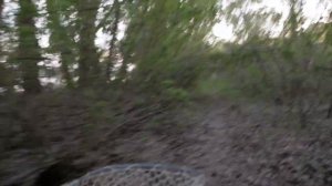 Рыбалка на макушатник.  Сазан, лещ на дикой реке