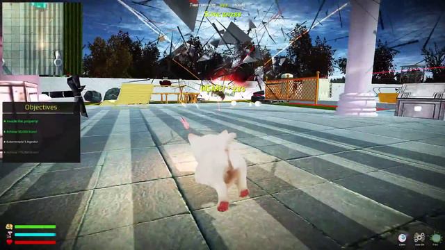 KITTEN RAMPAGE - Human Flesh-Colored Butthole On A Cat смотреть онлайн