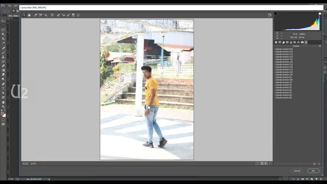 20 photoshop camera raw presets free download 2019 смотреть онлайн