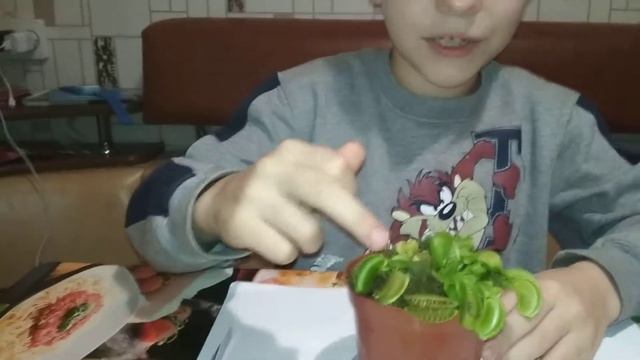 Венерина Мухоловка смотреть онлайн