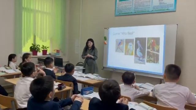 Мақсұт Бақнұр, ашық сабақ "Animals" смотреть онлайн