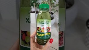 Суспензия хлореллы. Полезно или нет?