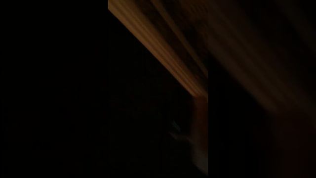 Спалили за Дрочкою 🤣 смотреть онлайн